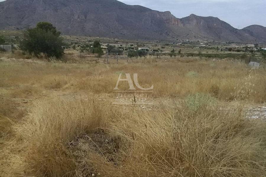 Venta - Chalet / Casa de campo - Elche Pedanías - La canalosa