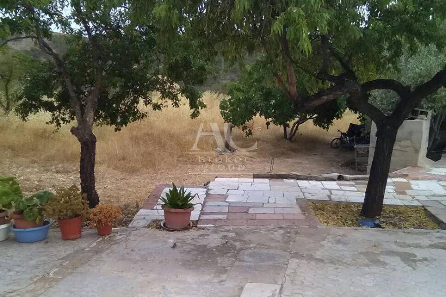 Venta - Chalet / Casa de campo - Elche Pedanías - La canalosa