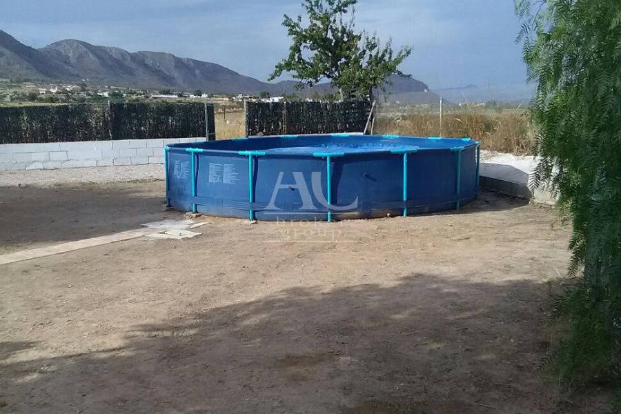 Venta - Chalet / Casa de campo - Elche Pedanías - La canalosa