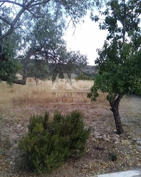 Venta - Chalet / Casa de campo - Elche Pedanías - La canalosa