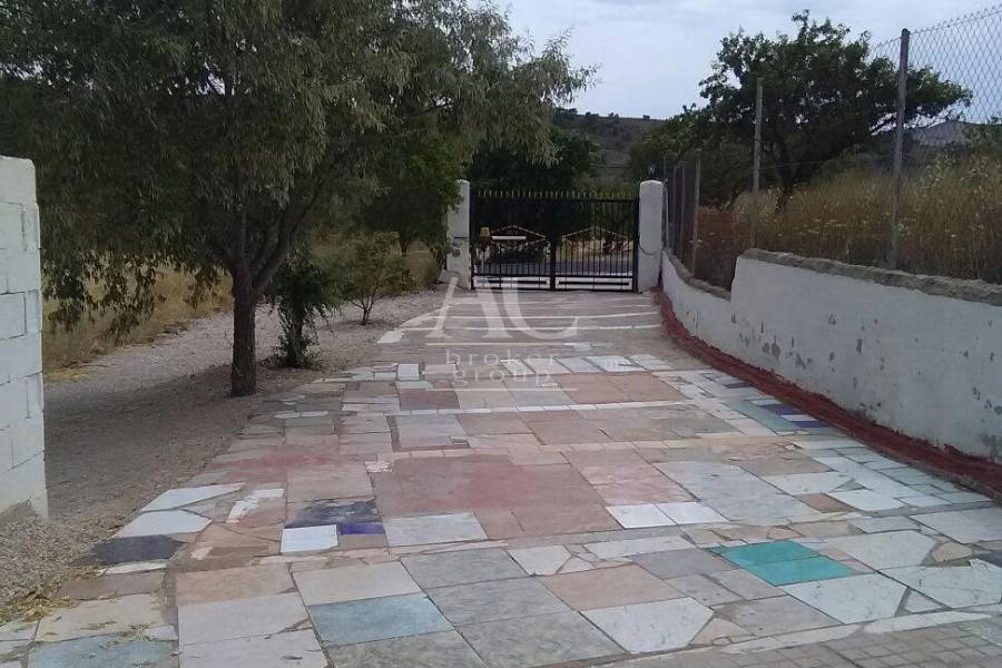 Venta - Chalet / Casa de campo - Elche Pedanías - La canalosa