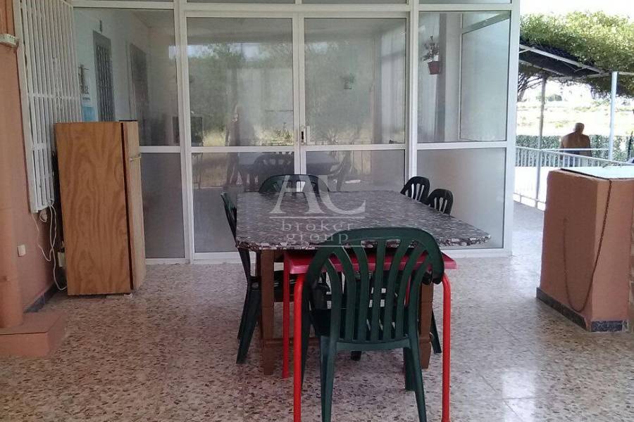 Venta - Chalet / Casa de campo - Elche Pedanías - La canalosa