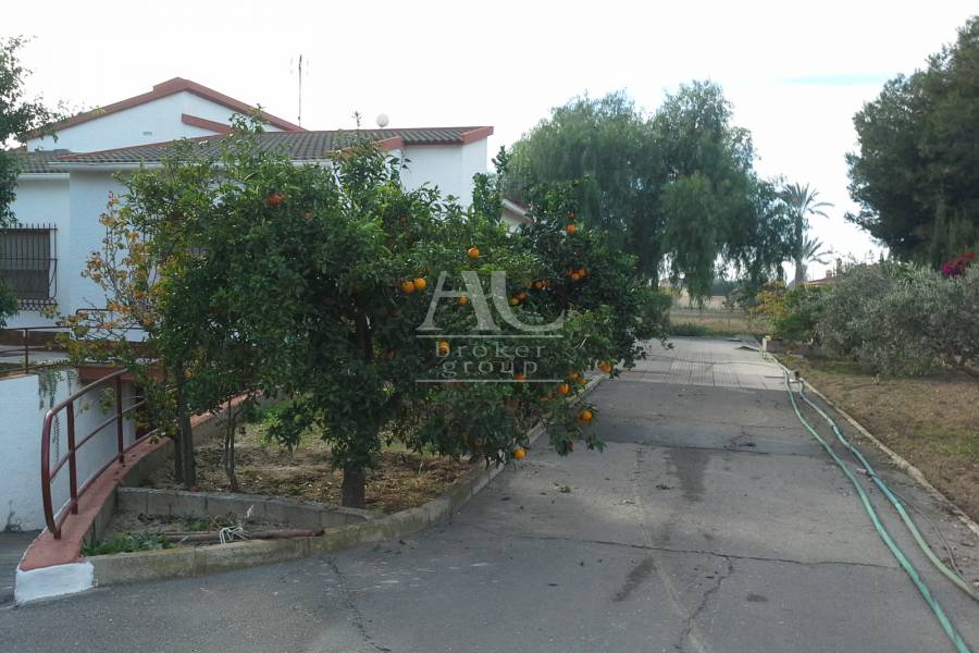 Venta - Chalet / Casa de campo - Elche Pedanías - Las Bayas
