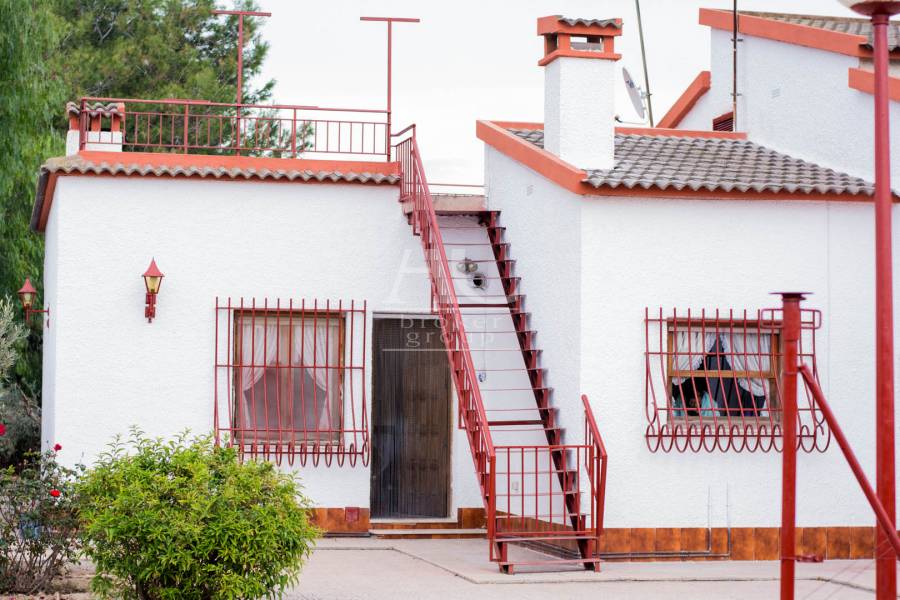 Venta - Chalet / Casa de campo - Elche Pedanías - Las Bayas