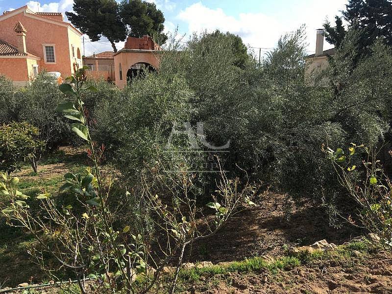 Venta - Chalet / Casa de campo - Elche Pedanías - Peña Las Águilas