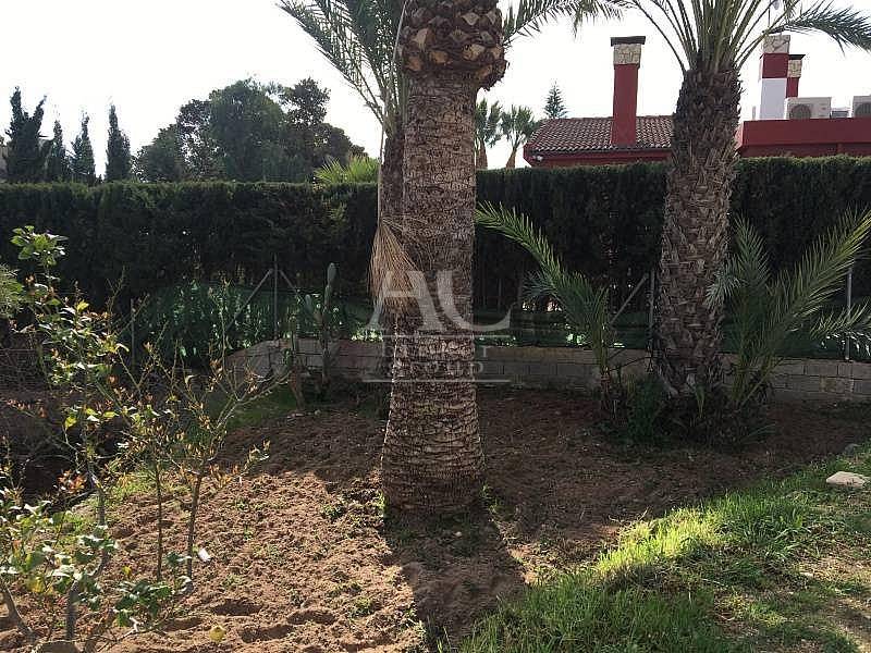 Venta - Chalet / Casa de campo - Elche Pedanías - Peña Las Águilas