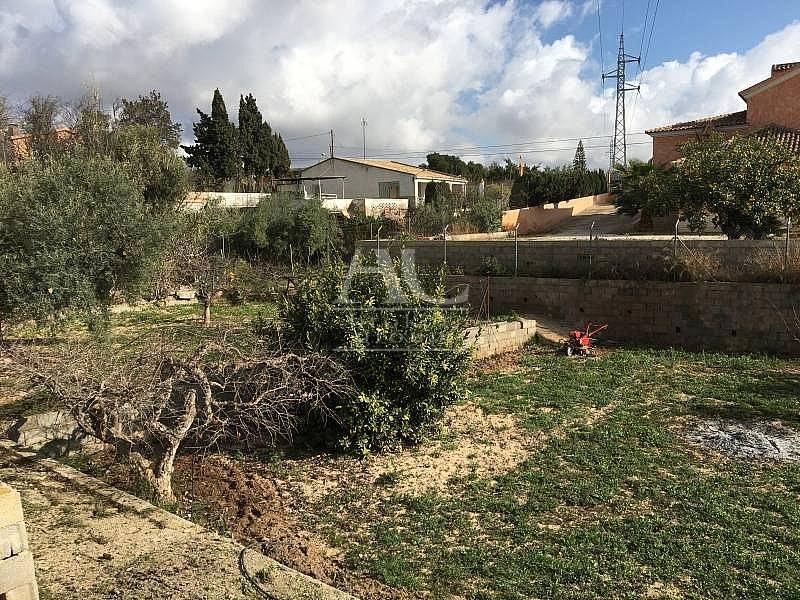 Venta - Chalet / Casa de campo - Elche Pedanías - Peña Las Águilas