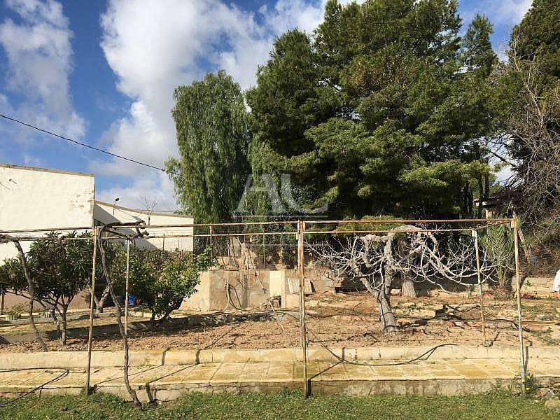 Venta - Chalet / Casa de campo - Elche Pedanías - Peña Las Águilas