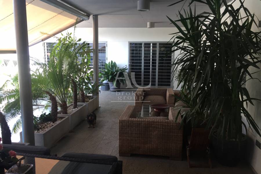 Venta - Chalet / Casa de campo - Elche - Ciudad Jardín 
