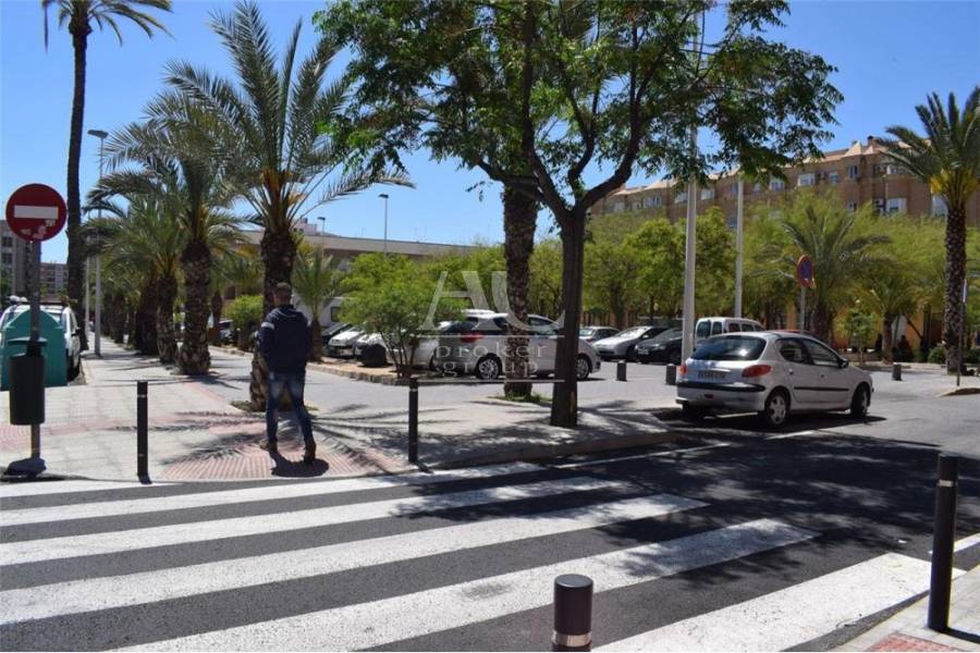 Venta - Piso - Elche - Plaza Madrid