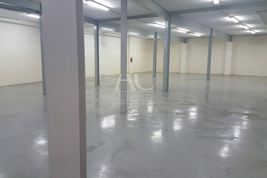 Alquiler - Nave  - Elche - Carrús