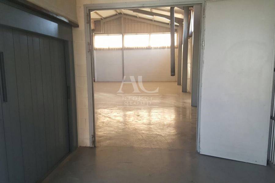 Alquiler - Nave  - Elche - Carrús