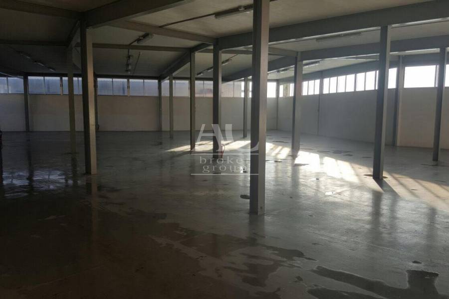 Alquiler - Nave  - Elche - Carrús