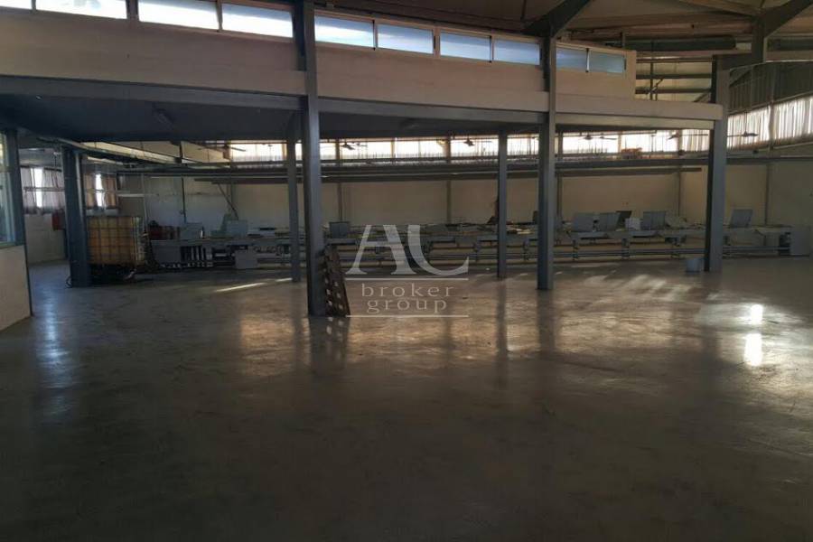 Alquiler - Nave  - Elche - Carrús