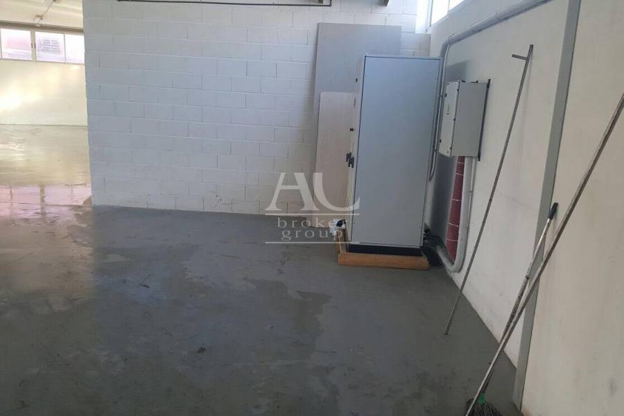 Alquiler - Nave  - Elche - Carrús