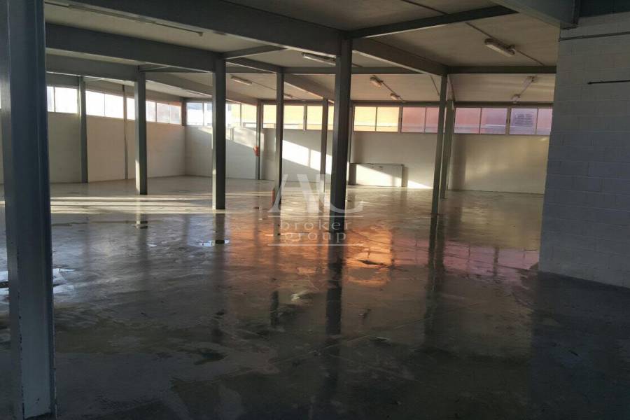 Alquiler - Nave  - Elche - Carrús