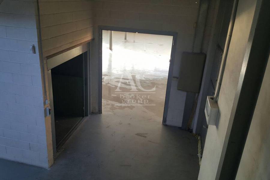 Alquiler - Nave  - Elche - Carrús