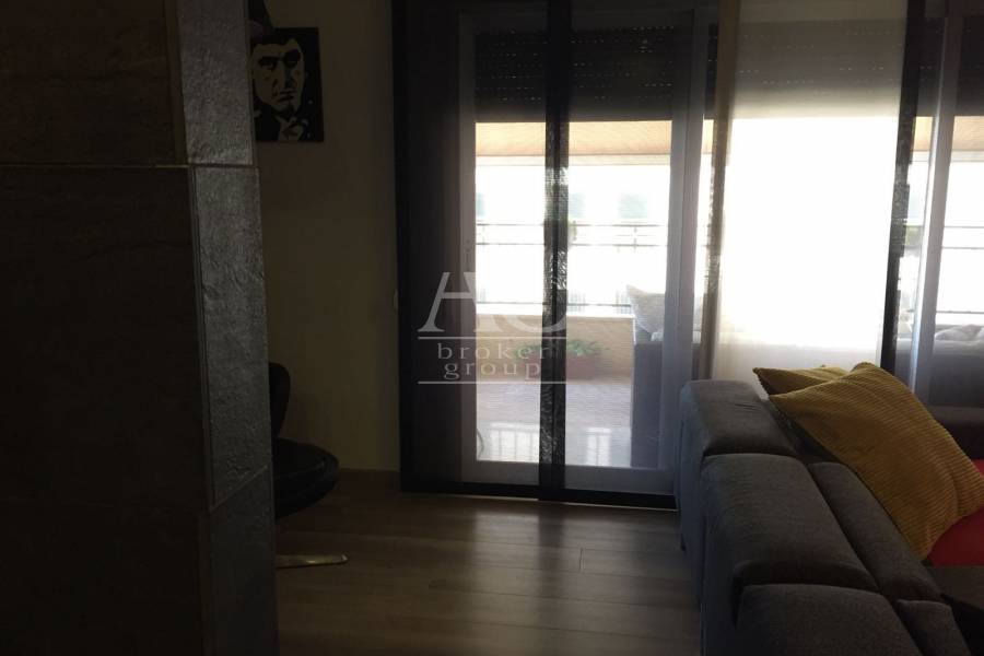 Alquiler - Piso - Elche - La Torreta 