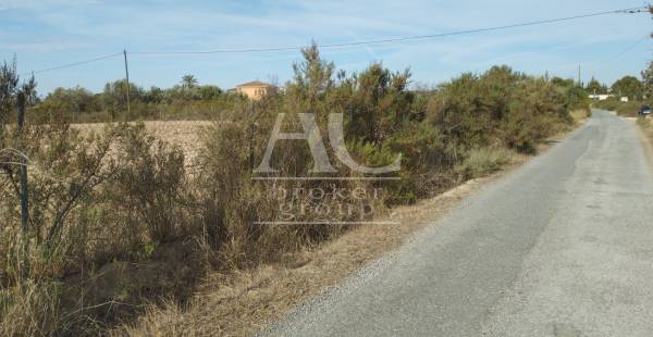 Parcela / Solar / Terreno  - Venta - Elche Pedanías - Matola