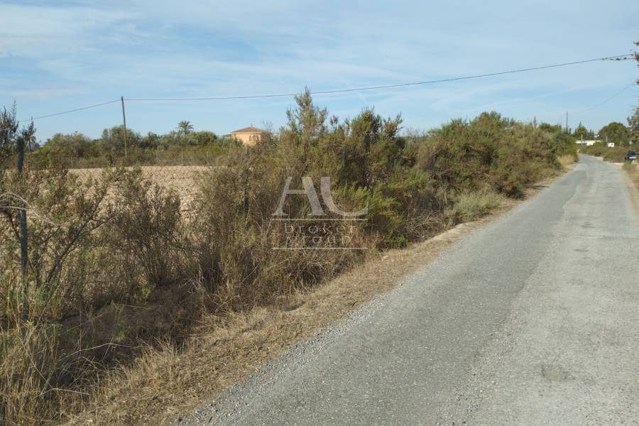 Venta - Parcela / Solar / Terreno  - Elche Pedanías - Matola