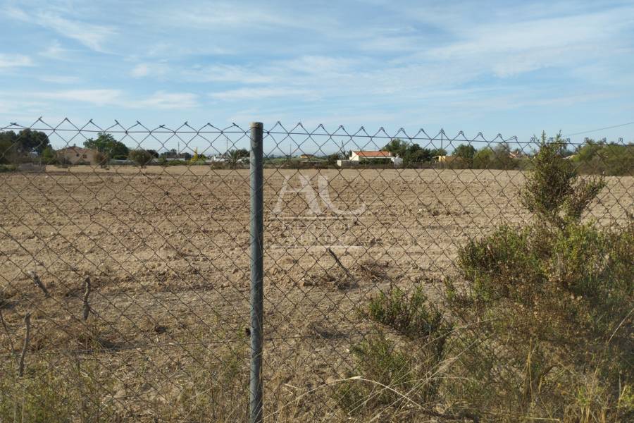 Venta - Parcela / Solar / Terreno  - Elche Pedanías - Matola