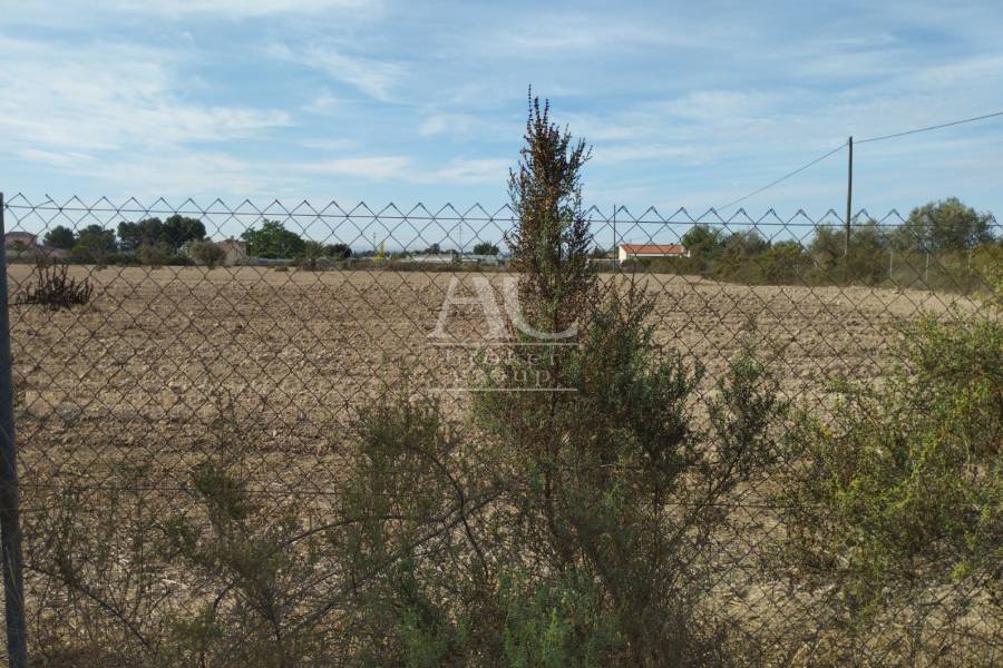 Venta - Parcela / Solar / Terreno  - Elche Pedanías - Matola