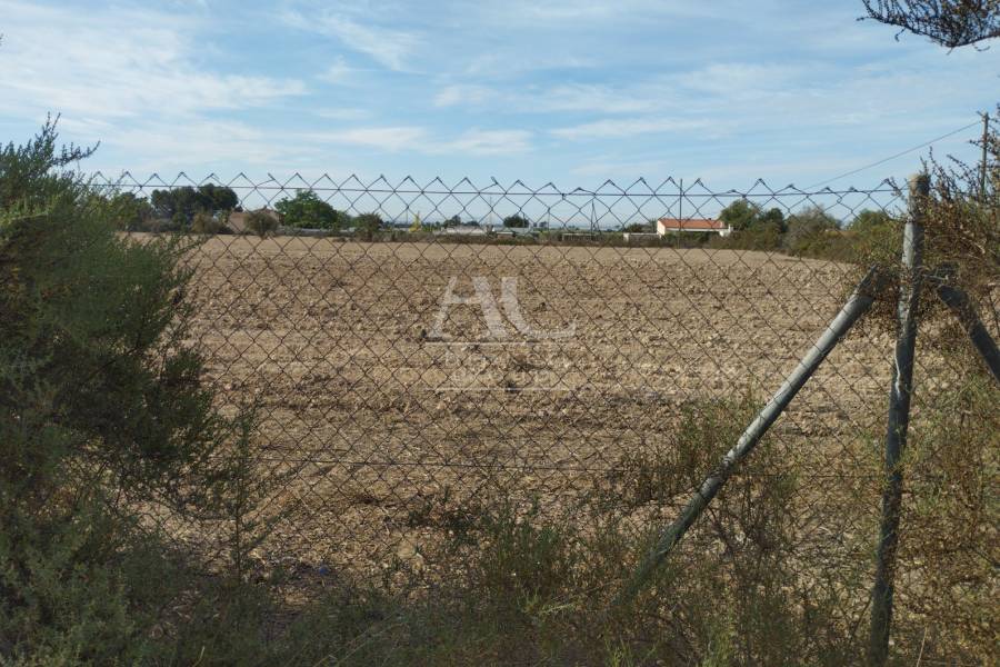 Venta - Parcela / Solar / Terreno  - Elche Pedanías - Matola