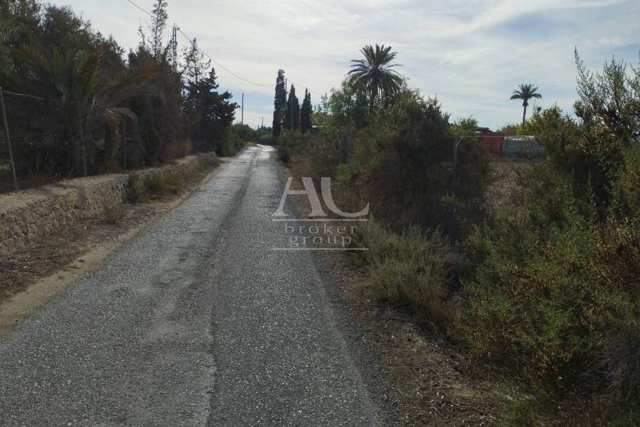 Venta - Parcela / Solar / Terreno  - Elche Pedanías - Matola