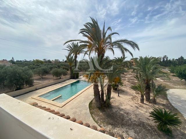 Venta - Chalet / Casa de campo - Elche - Camino viejo Santa Pola