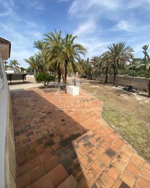 Venta - Chalet / Casa de campo - Elche - Camino viejo Santa Pola
