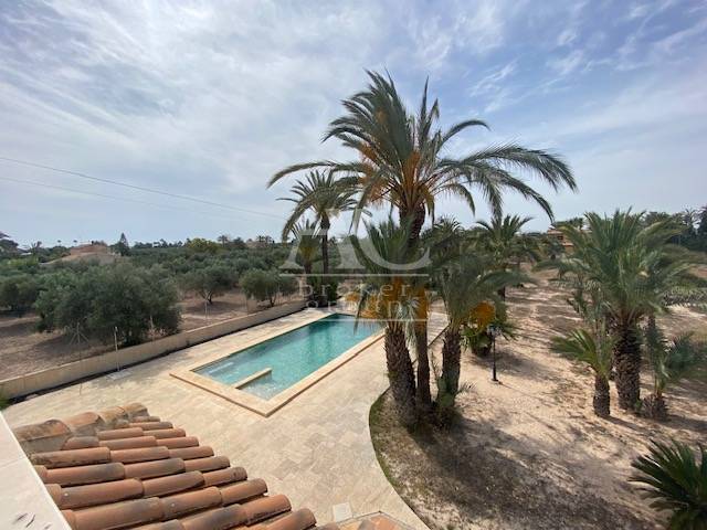 Venta - Chalet / Casa de campo - Elche - Camino viejo Santa Pola