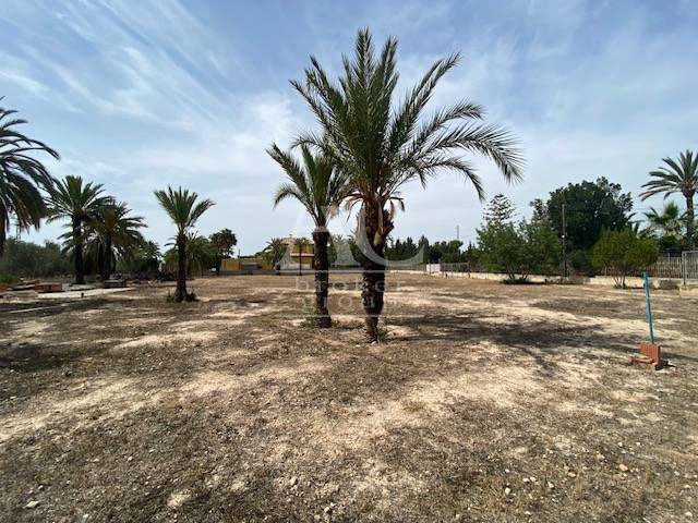 Venta - Chalet / Casa de campo - Elche - Camino viejo Santa Pola