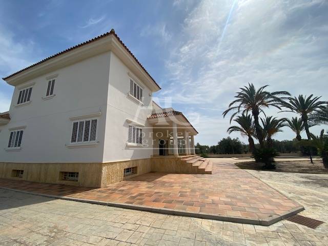 Venta - Chalet / Casa de campo - Elche - Camino viejo Santa Pola