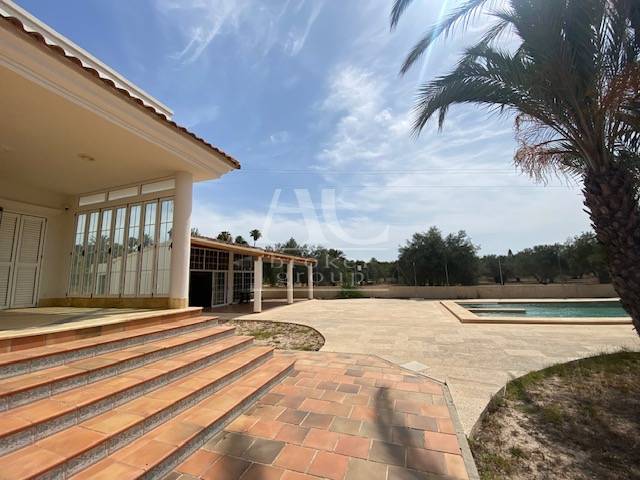 Venta - Chalet / Casa de campo - Elche - Camino viejo Santa Pola
