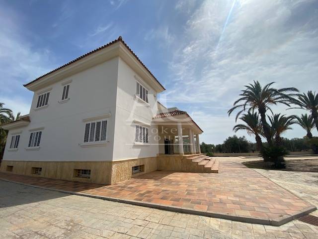 Venta - Chalet / Casa de campo - Elche - Camino viejo Santa Pola