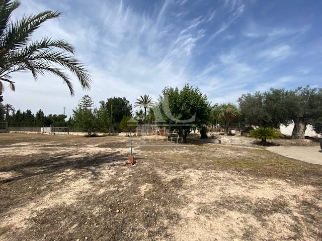 Venta - Chalet / Casa de campo - Elche - Camino viejo Santa Pola
