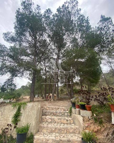 Venta - Chalet / Casa de campo - Hondón de las Nieves