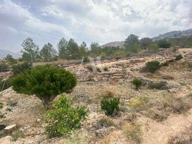 Venta - Chalet / Casa de campo - Hondón de las Nieves