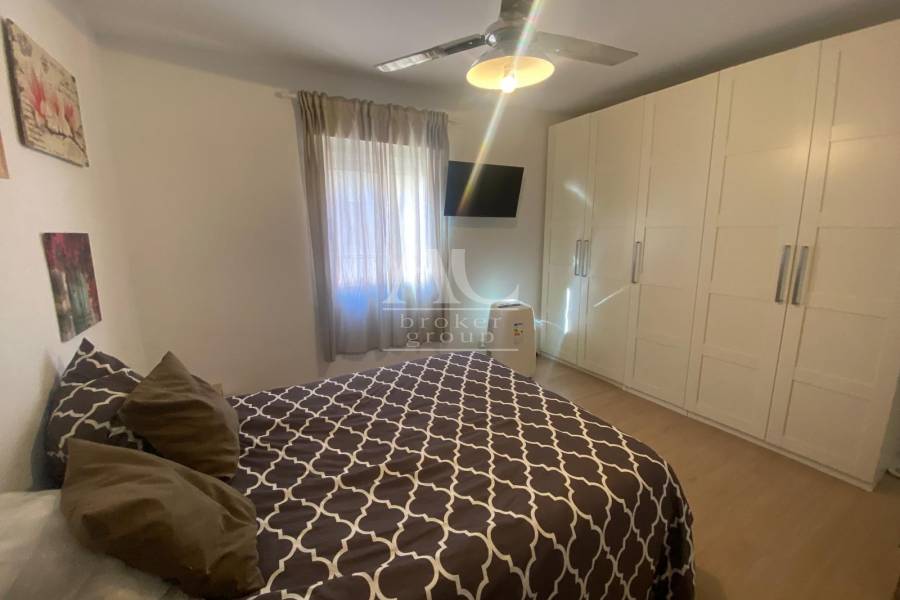 Alquiler - Piso - Elche - Reina Victoria