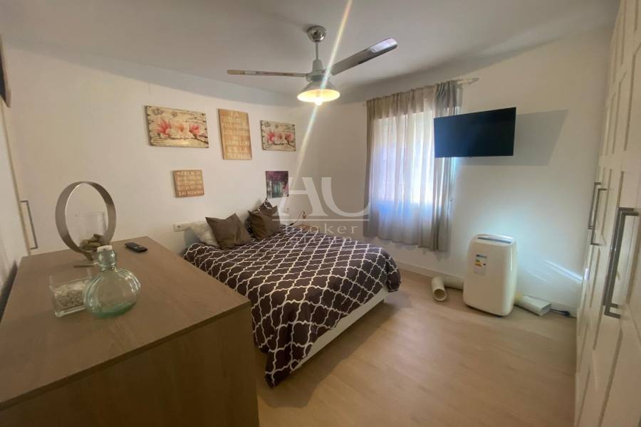 Alquiler - Piso - Elche - Reina Victoria