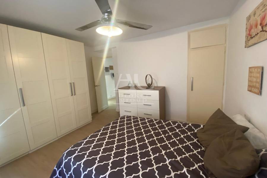 Alquiler - Piso - Elche - Reina Victoria