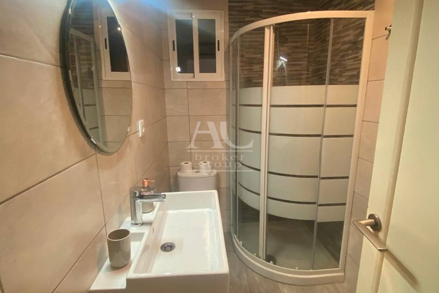 Alquiler - Piso - Elche - Reina Victoria