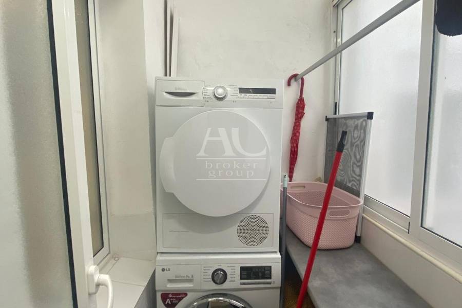 Alquiler - Piso - Elche - Reina Victoria