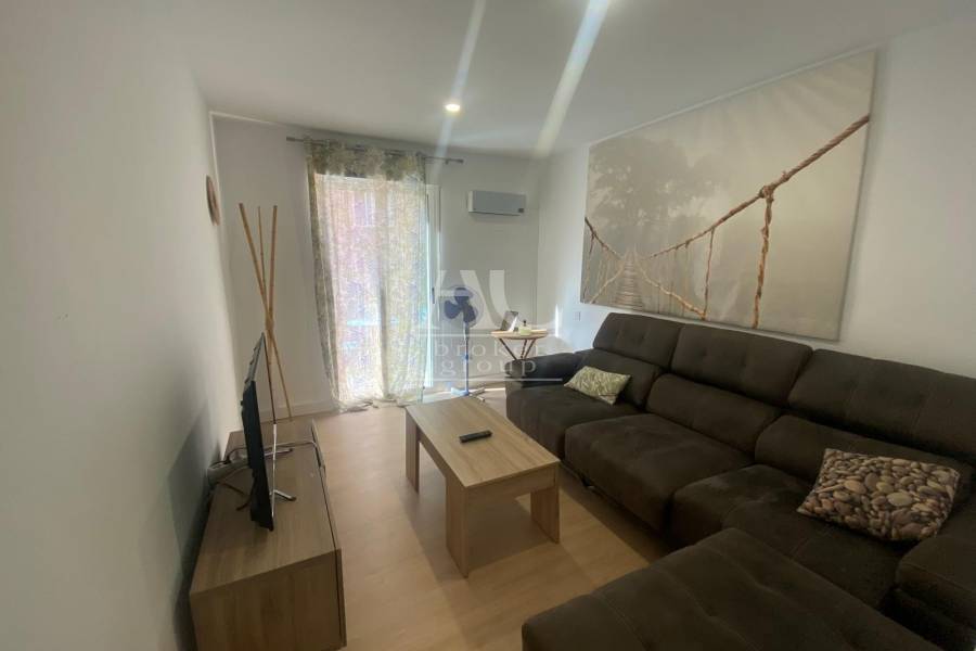 Alquiler - Piso - Elche - Reina Victoria