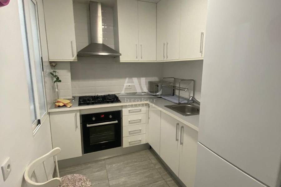 Alquiler - Piso - Elche - Reina Victoria