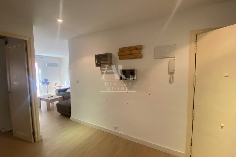 Alquiler - Piso - Elche - Reina Victoria