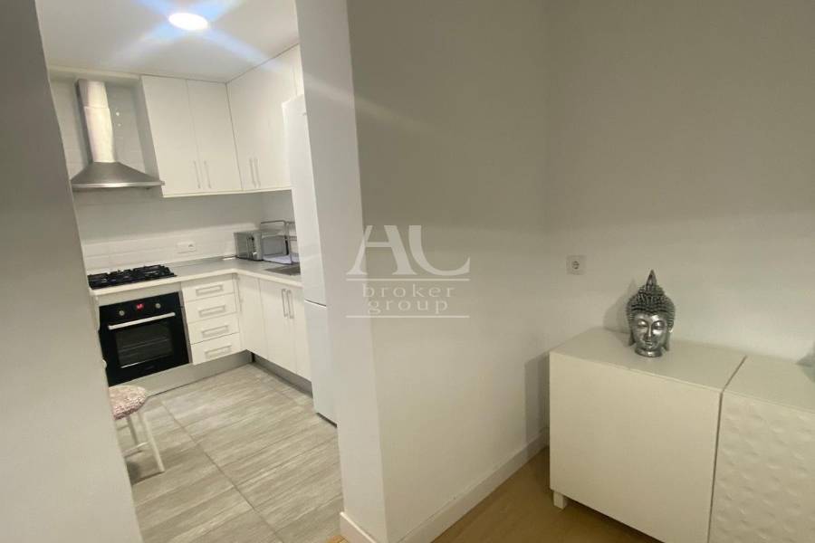 Alquiler - Piso - Elche - Reina Victoria