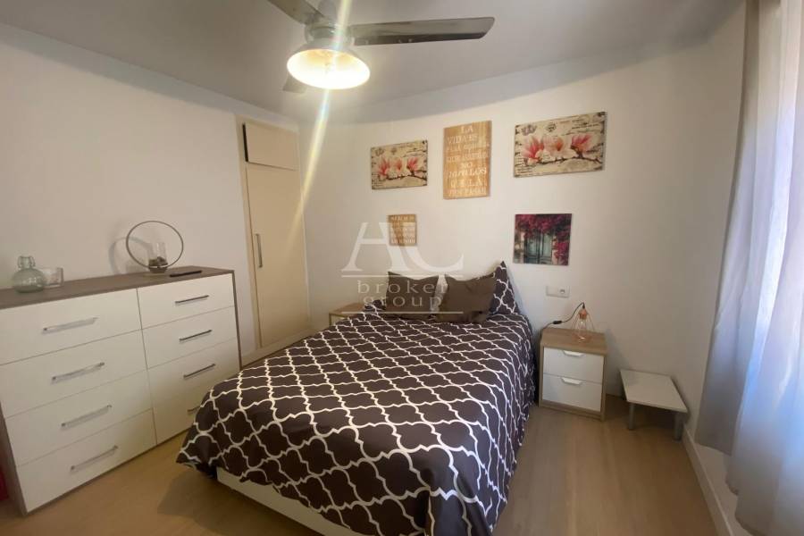 Alquiler - Piso - Elche - Reina Victoria