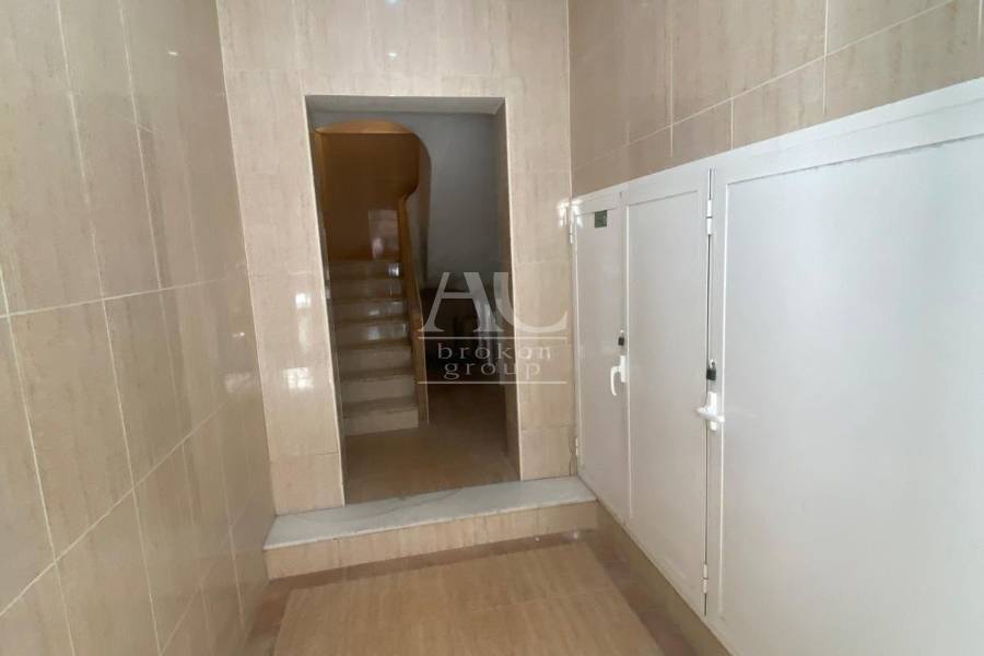 Alquiler - Piso - Elche - Reina Victoria