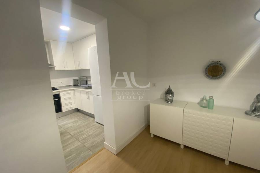 Alquiler - Piso - Elche - Reina Victoria